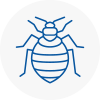 Bed Bug Extermination In Harrogate